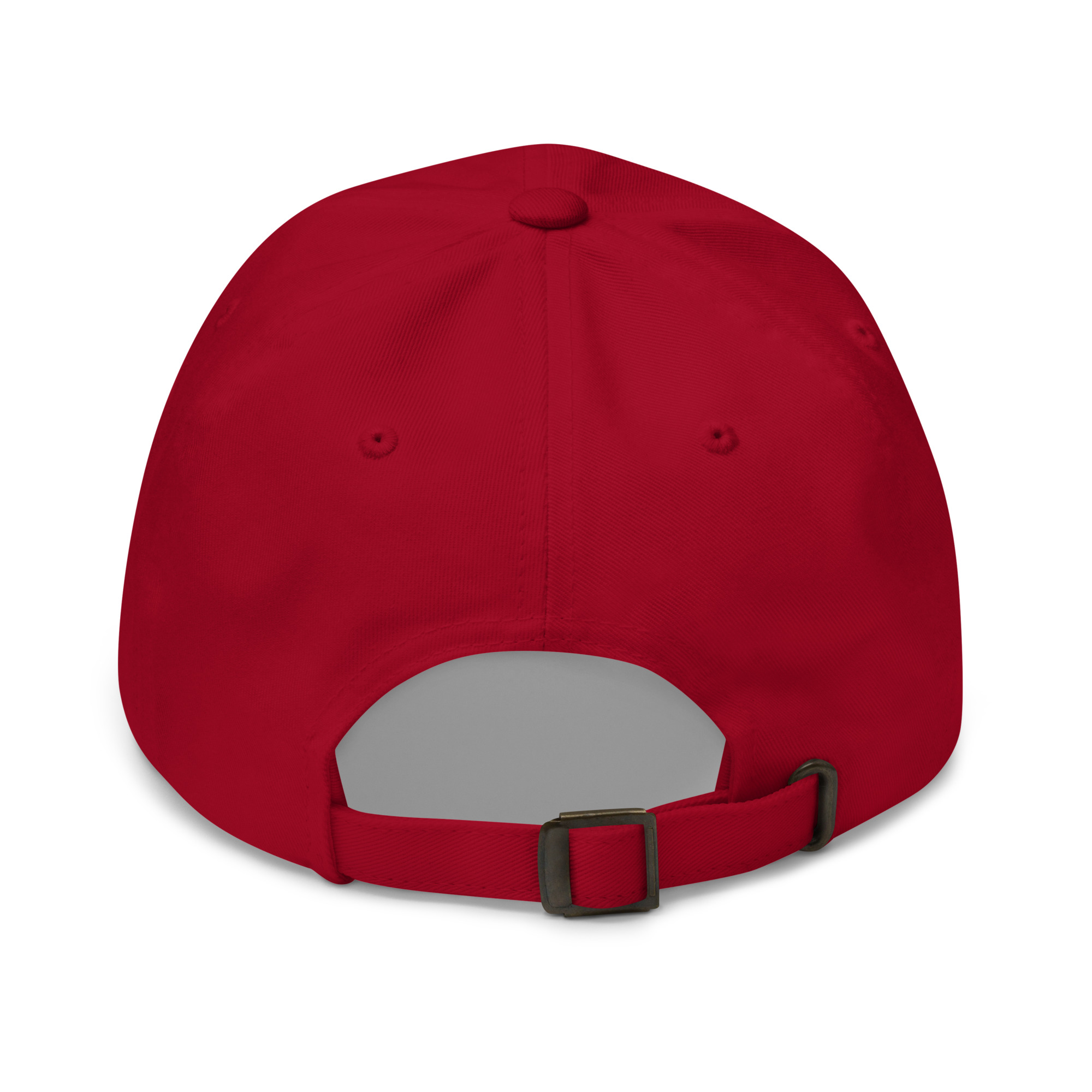 Dad hat Protector slogan no seal - Image 14