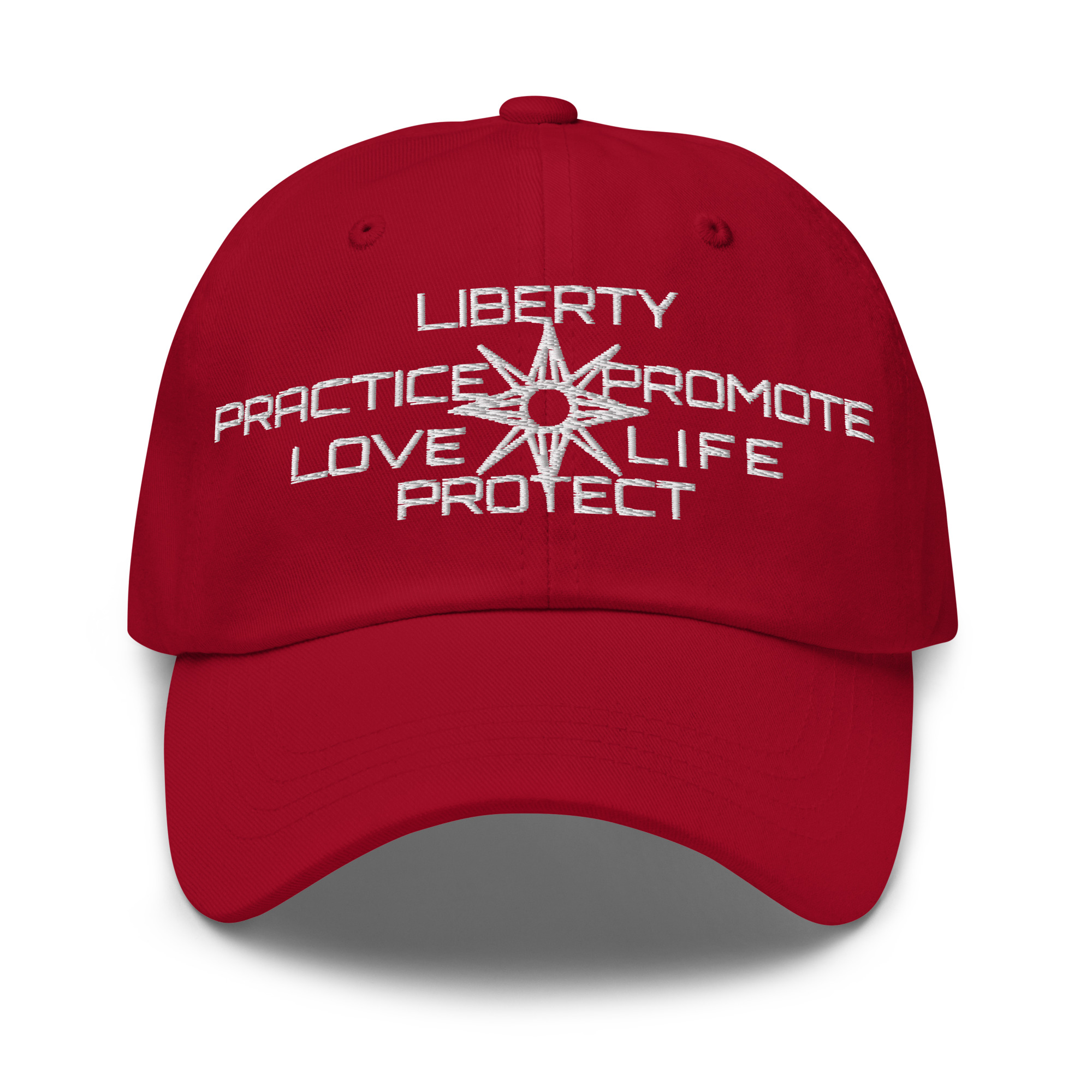 Dad hat Protector slogan no seal - Image 3