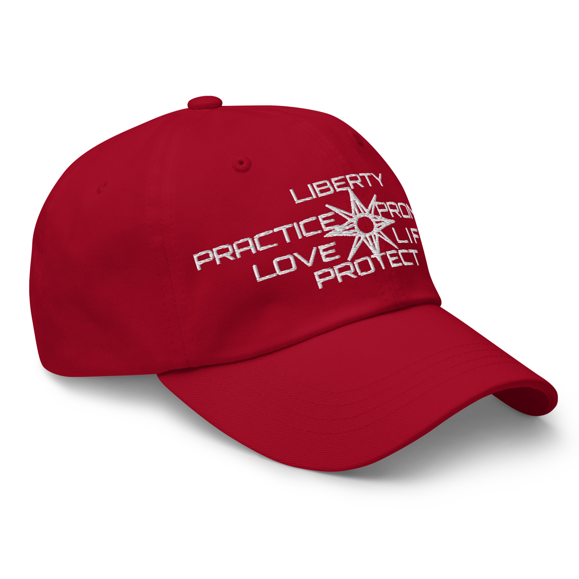 Dad hat Protector slogan no seal - Image 47