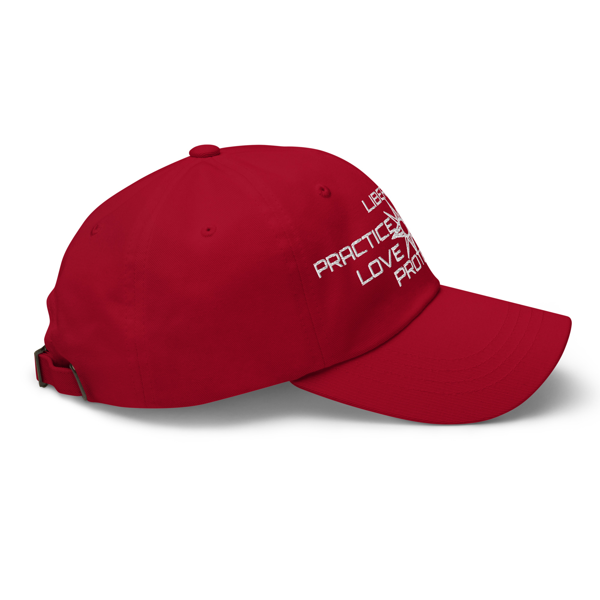 Dad hat Protector slogan no seal - Image 25