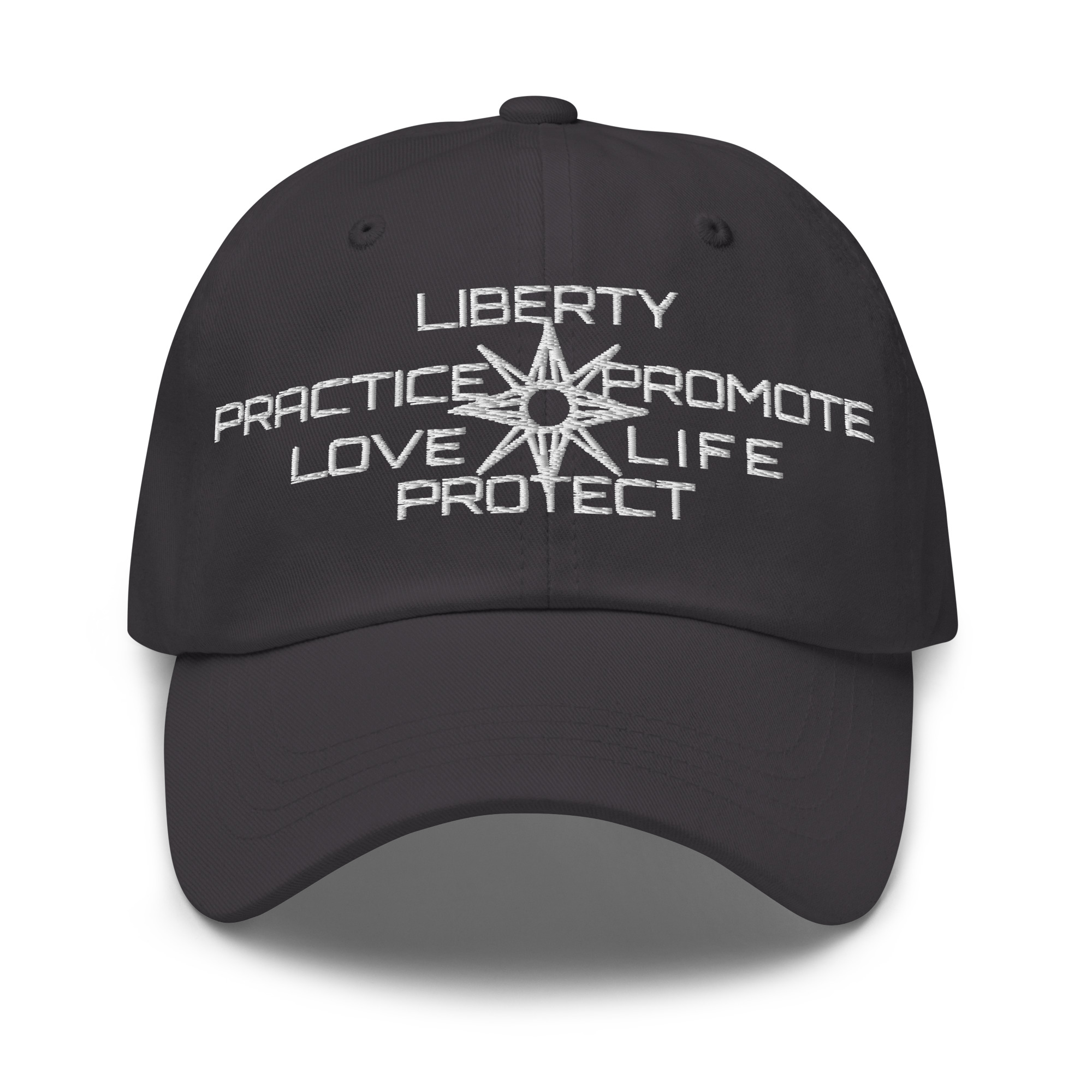 Dad hat Protector slogan no seal - Image 5