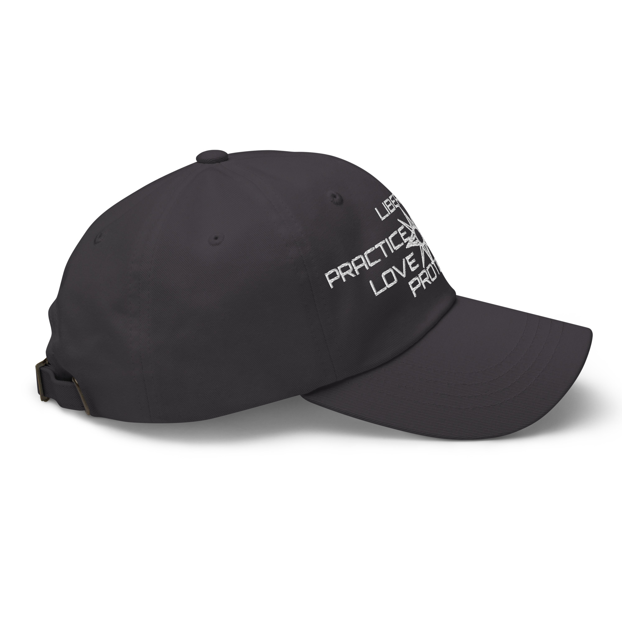 Dad hat Protector slogan no seal - Image 27