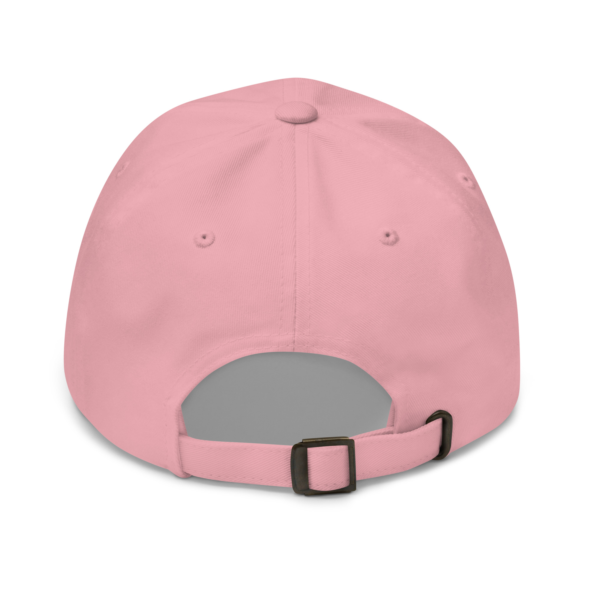 Dad hat Protector slogan no seal - Image 20