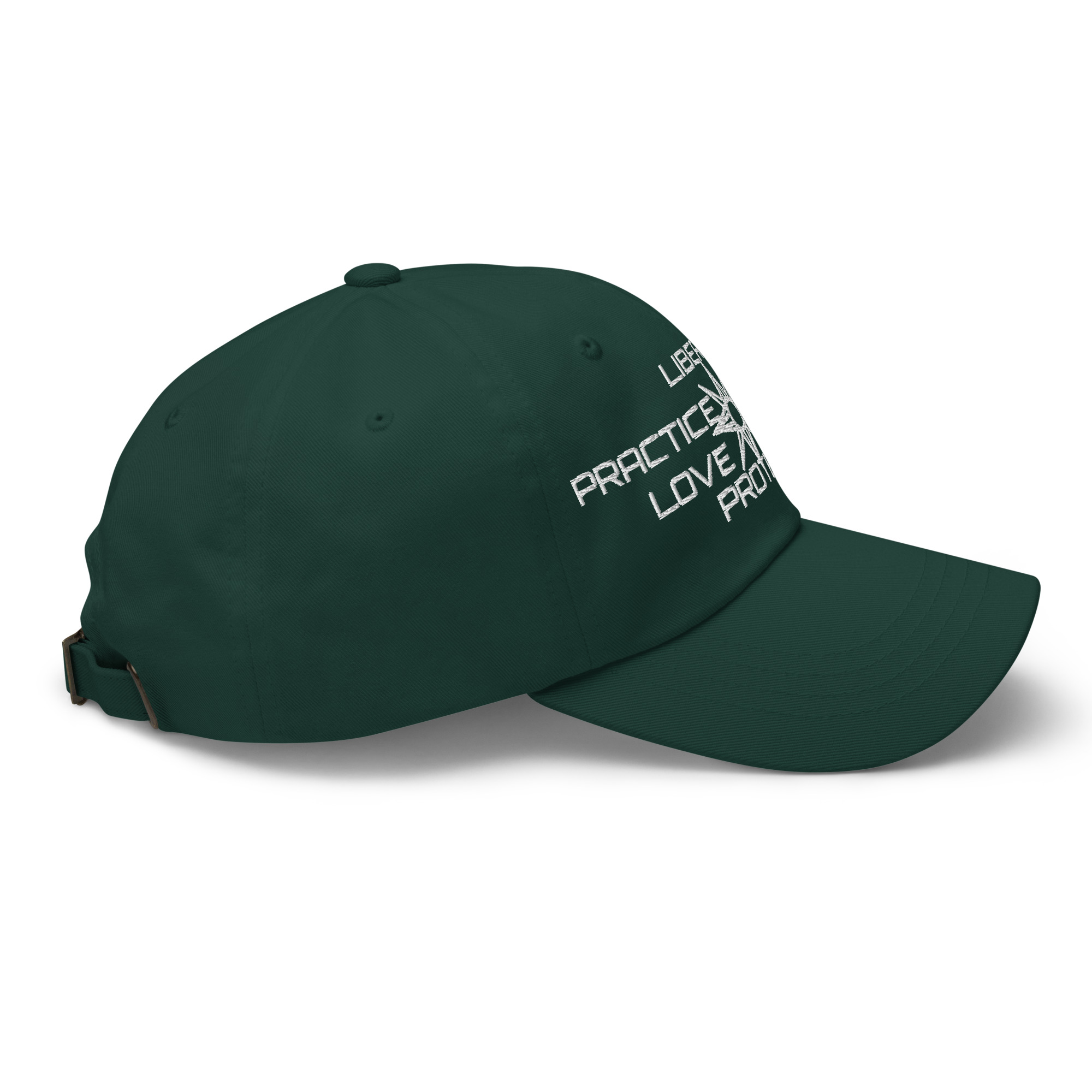 Dad hat Protector slogan no seal - Image 26