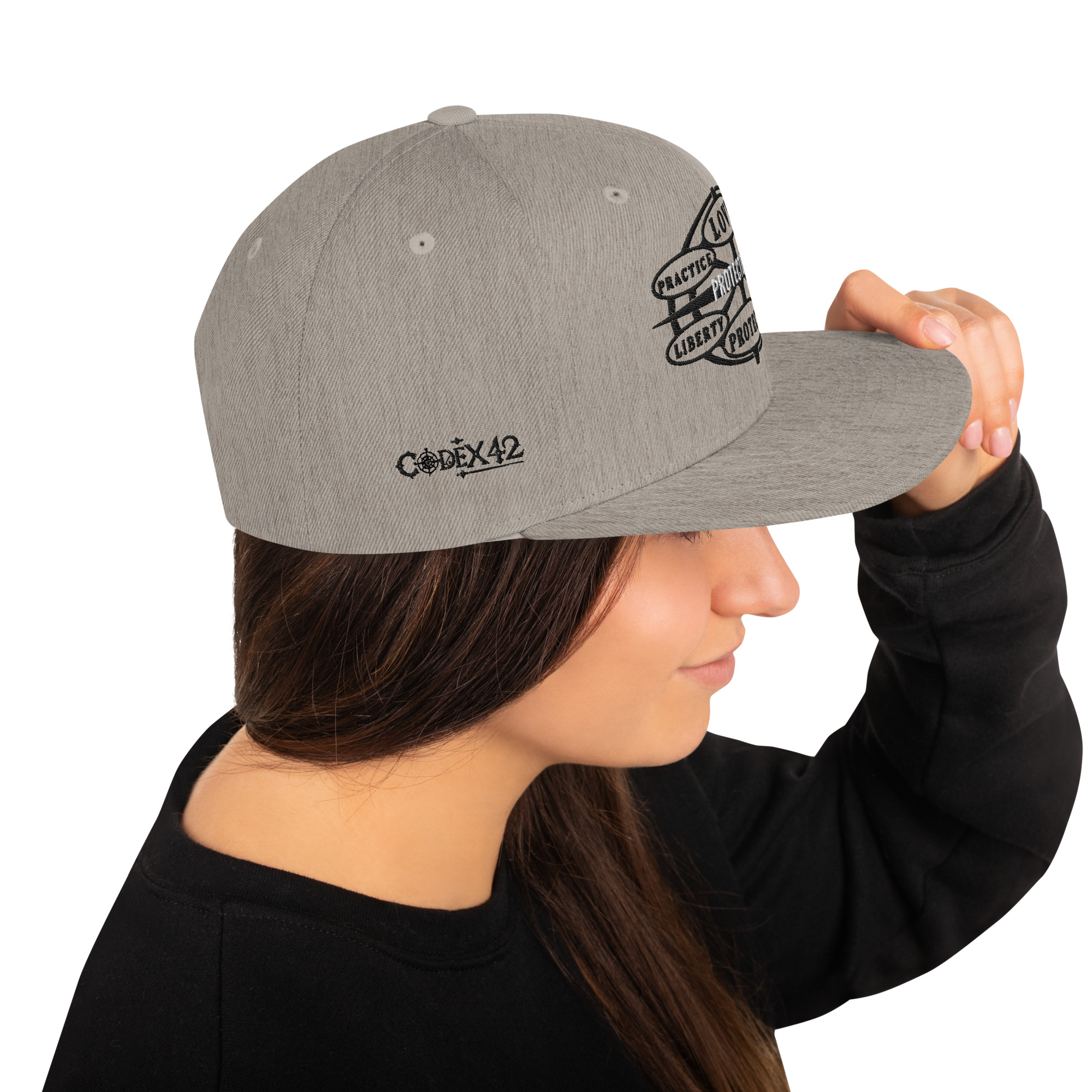 Snapback Hat Protector seal Silver on Black - Image 46