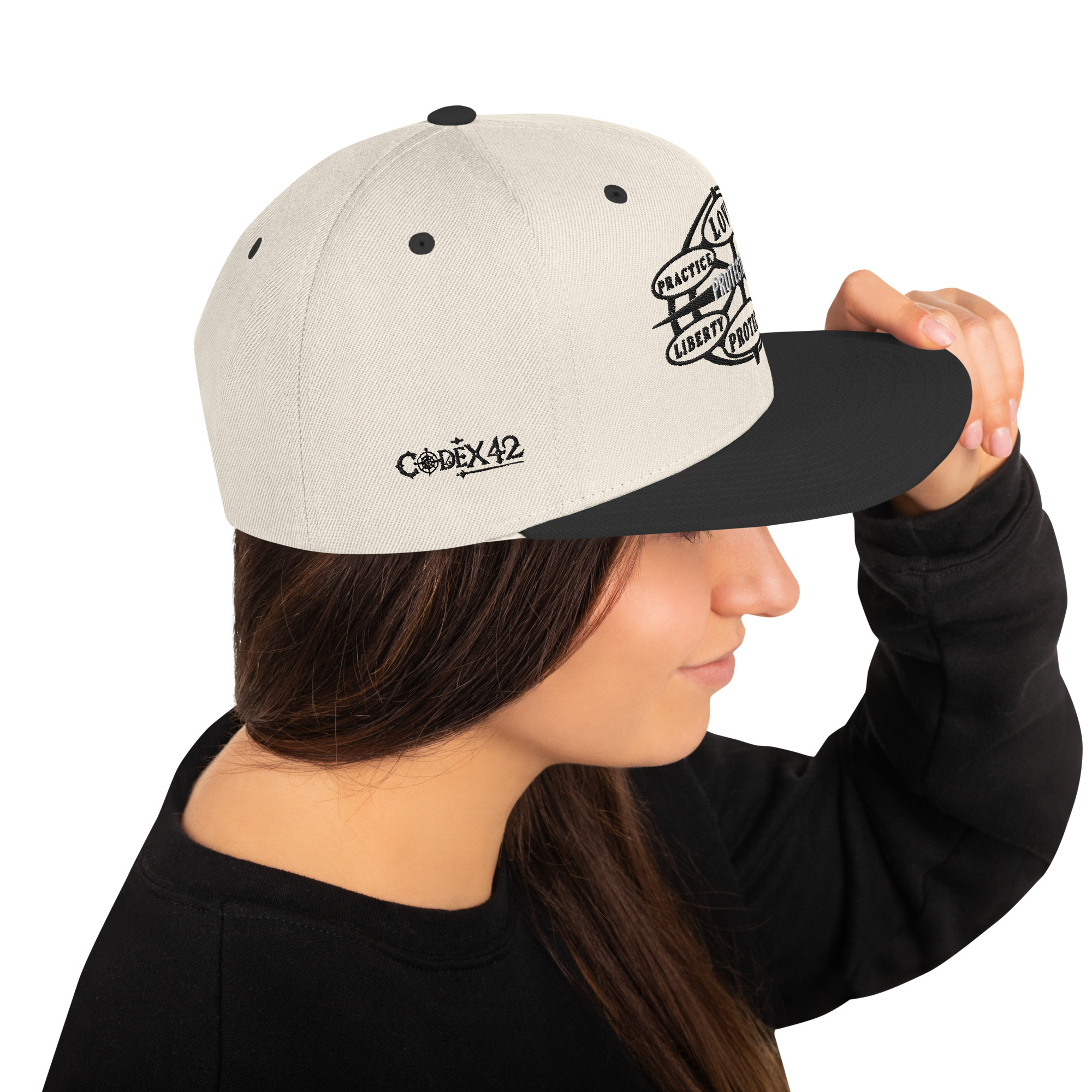 Snapback Hat Protector seal Silver on Black - Image 49