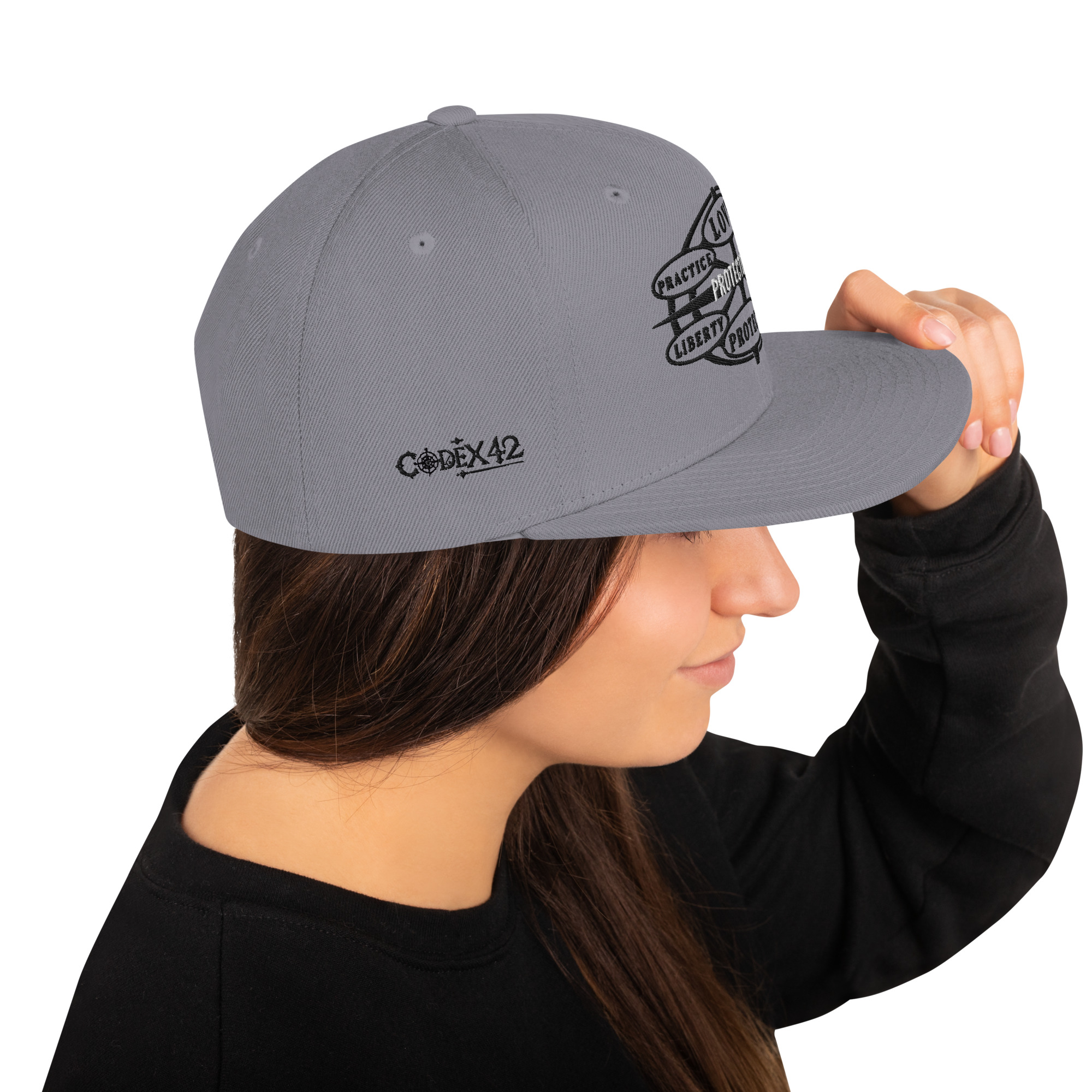 Snapback Hat Protector seal Silver on Black - Image 35