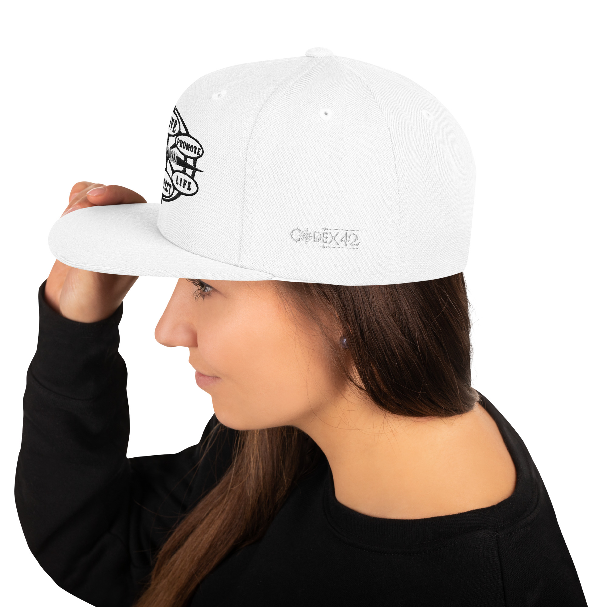 Snapback Hat Protector seal Silver on Black - Image 52