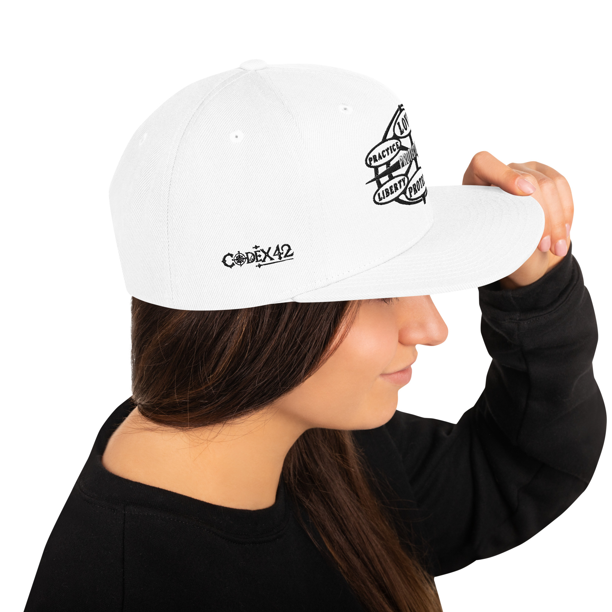 Snapback Hat Protector seal Silver on Black - Image 53
